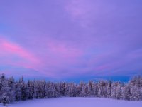 23012024- RS80719 Solnedgång över taigan.