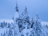 24012024- RS80728 Morgon 1 på Akkanålke.