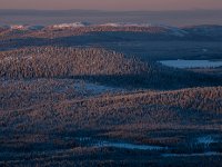25012024- Z9R3522-Redigera Taigaskog foto från Akkanålke utanför Arvidsjaur, jan 2024.