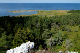 72 Brucebo naturreservat