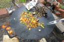 14Wok Helen o Michael stuga