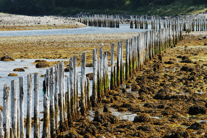 Strandstolpar300N07