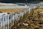 Strandstolpar300N07